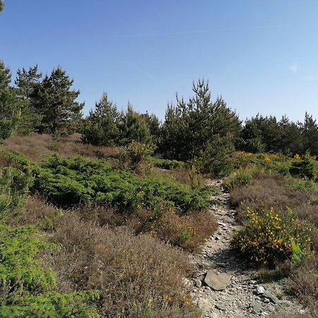 Gite Cote Nature Cabrerolles Bagian luar foto