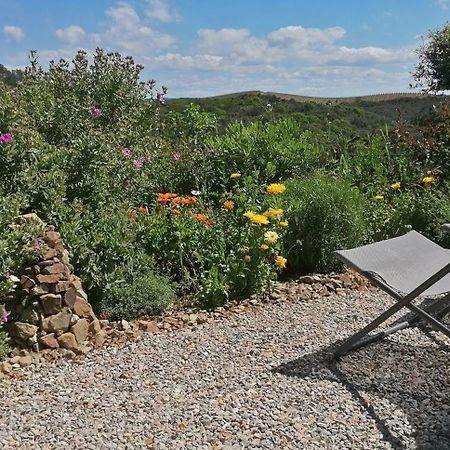 Gite Cote Nature Cabrerolles Bagian luar foto