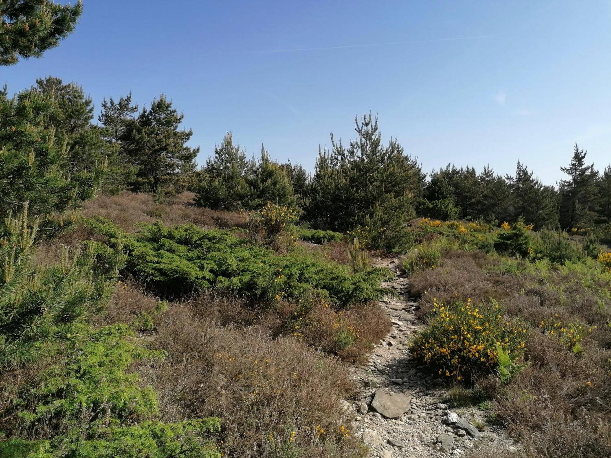 Gite Cote Nature Cabrerolles Bagian luar foto